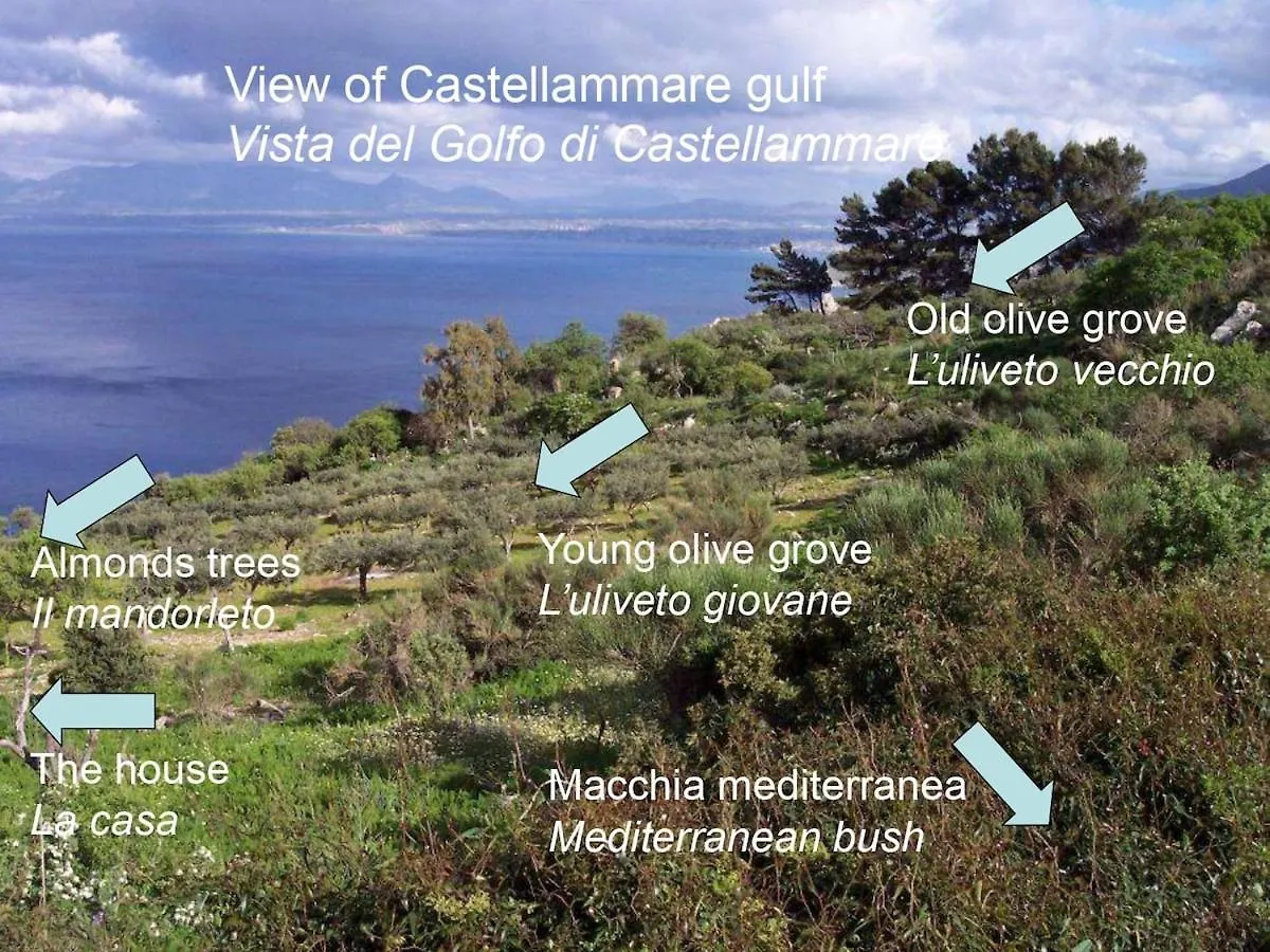House In Nature - Zingaro Reserve - Scopello 펜션 스코펠로